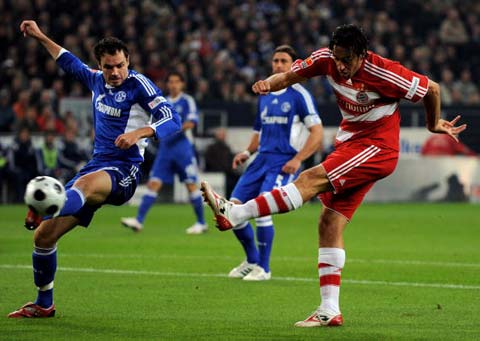 媒体的热门 媒体的热门